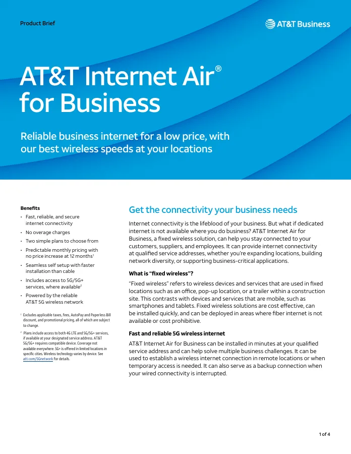Cover of Internet Air for Business